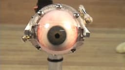 Mechanical animatronic eyes (5)