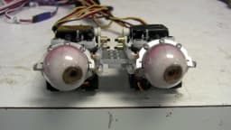 Mechanical animatronic eyes (2)
