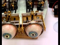 Mechanical animatronic eyes (6)