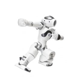 NAO Robot (3)
