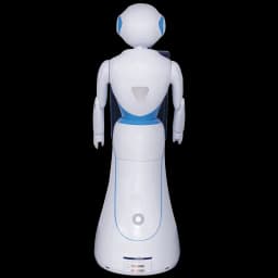 Alice the Robot (3)