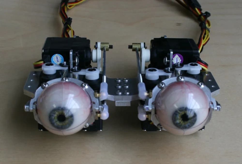 Mechanical animatronic eyes