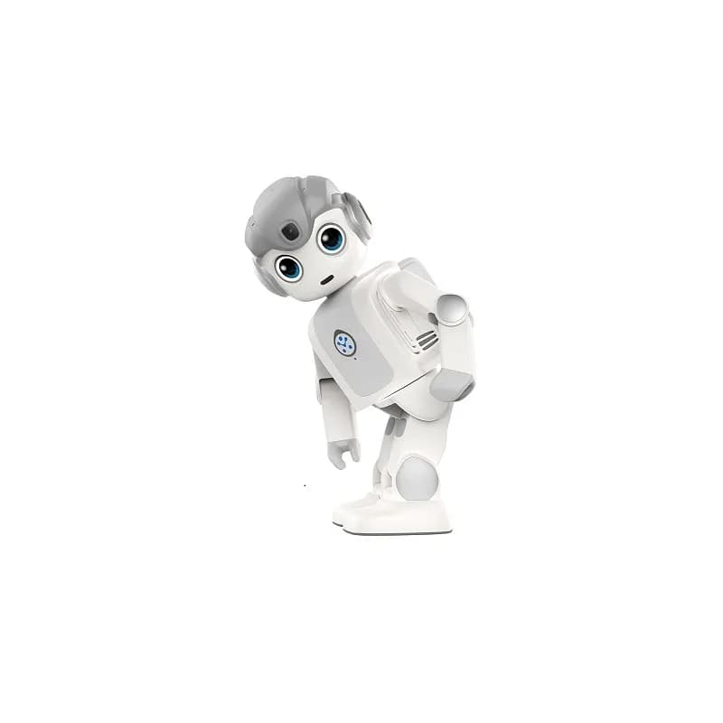 Alpha Mini humanoid educational robot