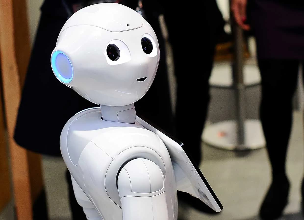 Questions and answers about social bots