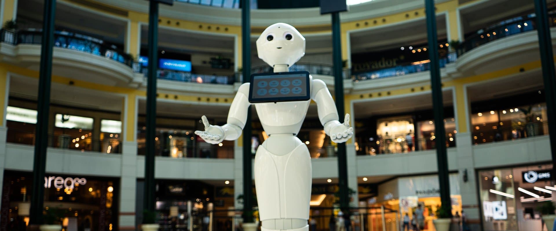 Humanoid Robots in Retail: City Mall Case Study